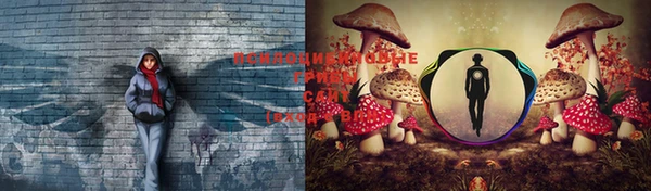 амф Белоозёрский